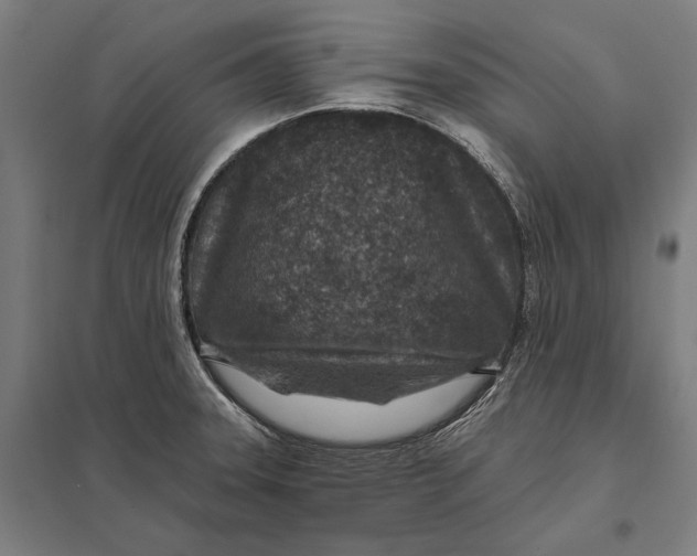 X0000097751331200803281600