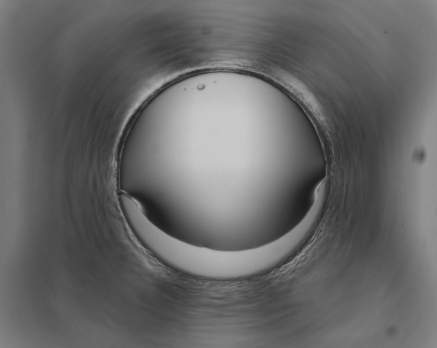 X0000097751332200803281600