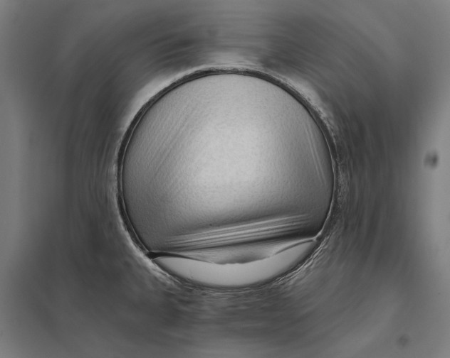 X0000097751335200803281601