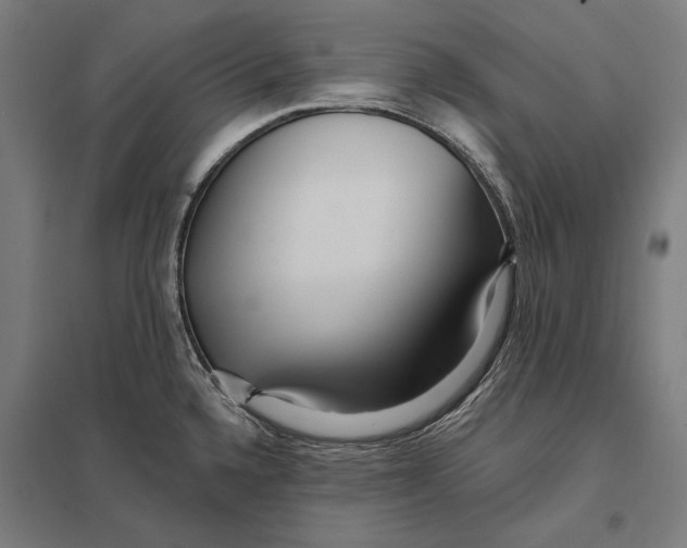 X0000097751336200803281601