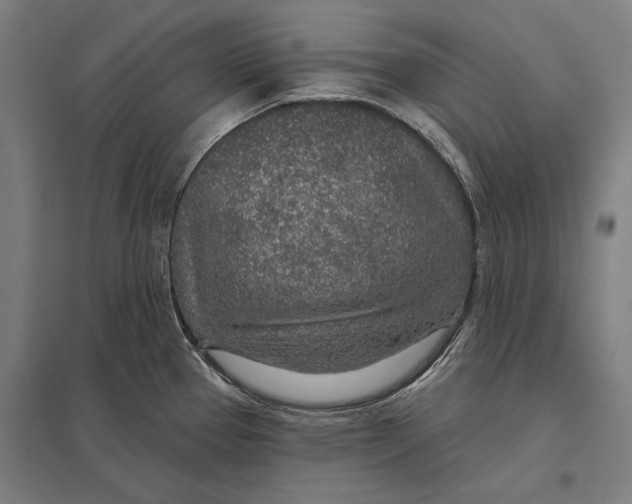 X0000097751337200803281601