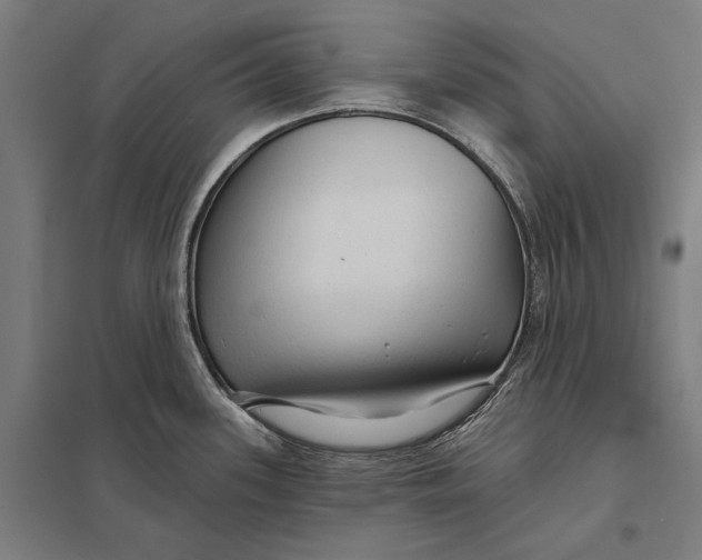 X0000097751339200803281601