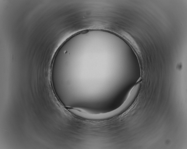 X0000097751340200803281601