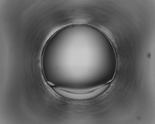 X0000097751342200803281601