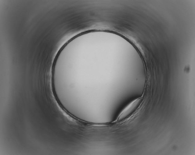 X0000097751343200803281601