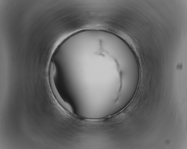 X0000097751344200803281601