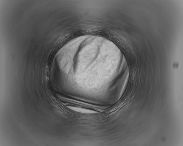 X0000097751346200803281600