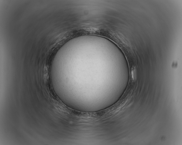 X0000097751347200803281600