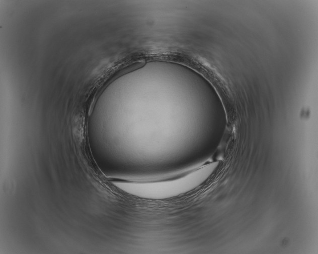 X0000097751348200803281600