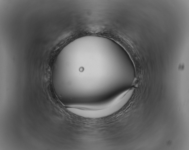 X0000097751349200803281600