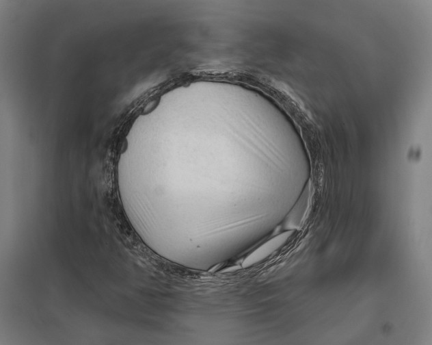 X0000097751350200803281600