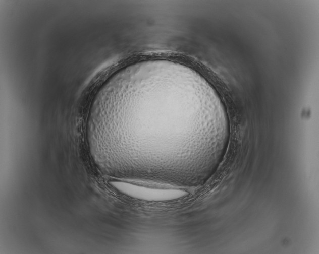 X0000097751351200803281600