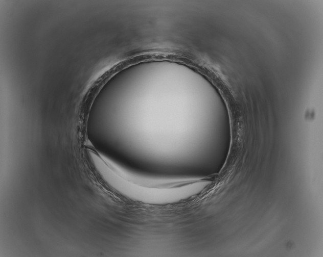 X0000097751352200803281600