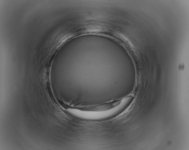 X0000097751353200803281600