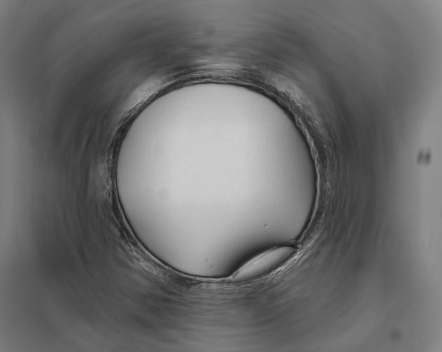 X0000097751354200803281600