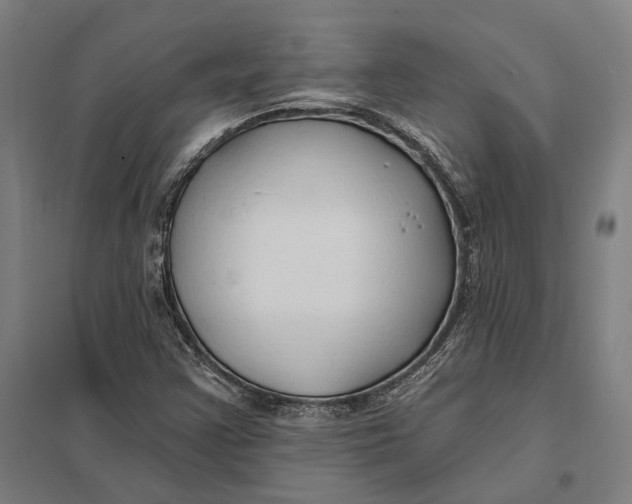 X0000097751355200803281600