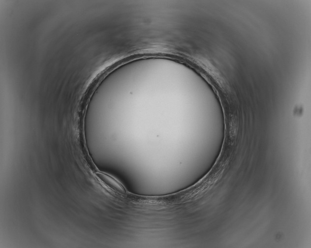 X0000097751356200803281600