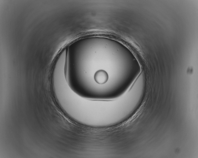 X0000097751357200803281600