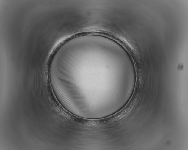 X0000097751358200803281600