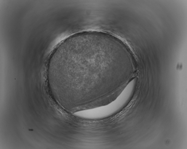 X0000097751359200803281600