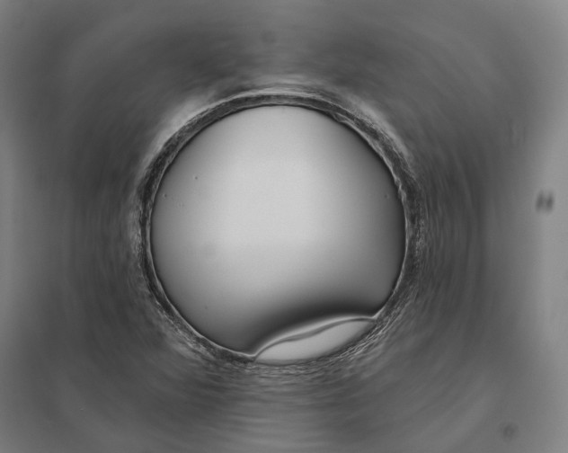 X0000097751360200803281600