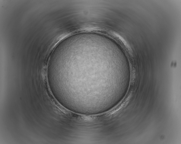 X0000097751361200803281600