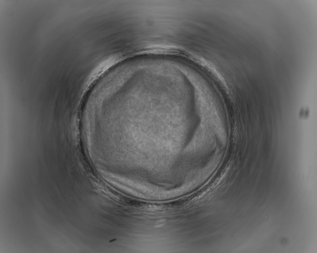 X0000097751362200803281559