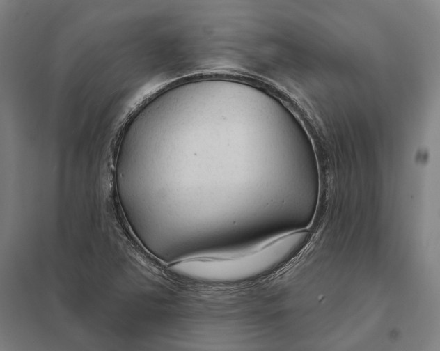 X0000097751363200803281559