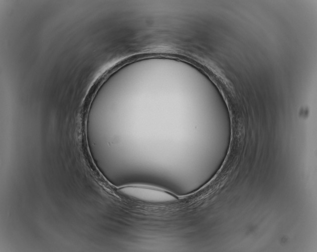 X0000097751364200803281559