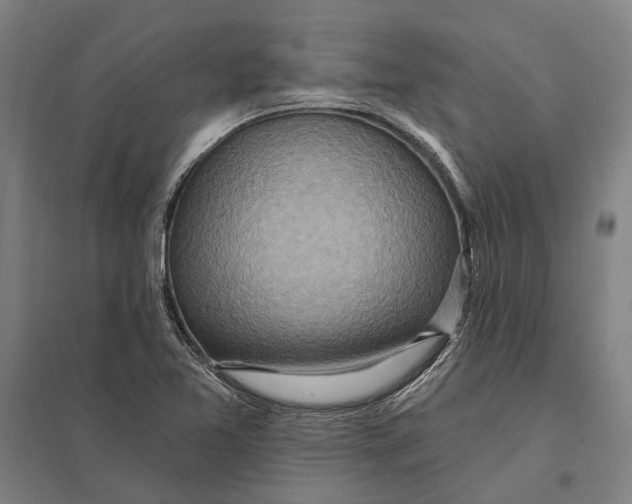 X0000097751365200803281559