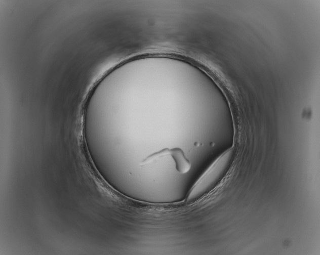 X0000097751366200803281559