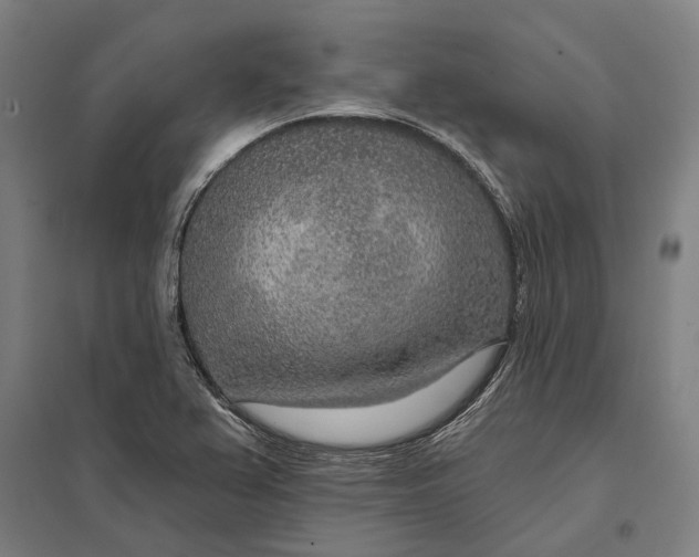 X0000097751367200803281559