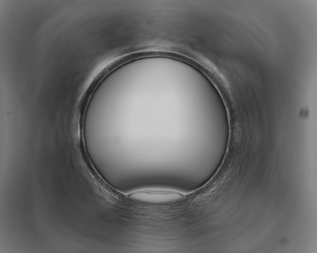 X0000097751368200803281559