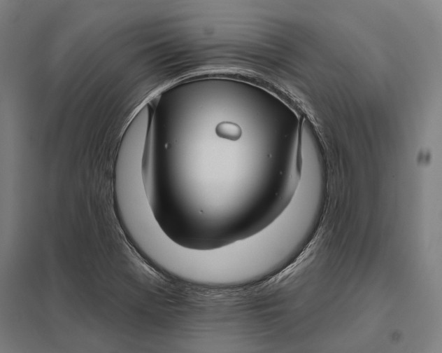 X0000097751369200803281559