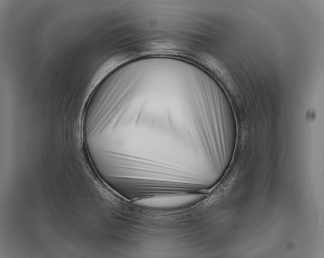 X0000097751370200803281559