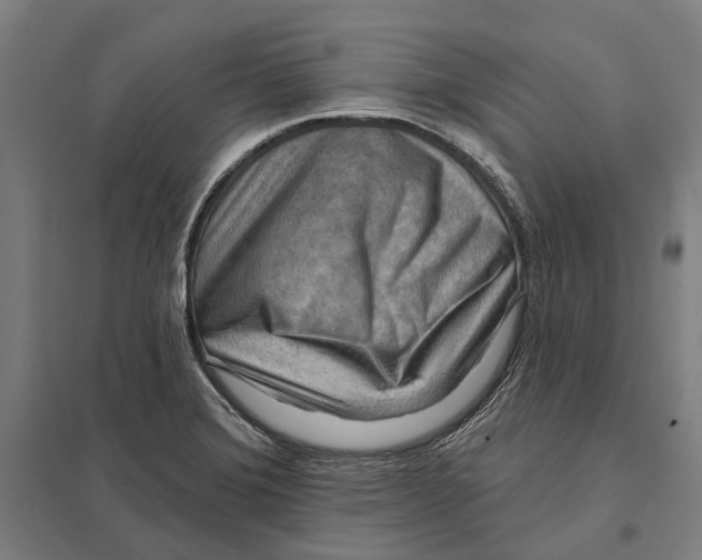 X0000097751372200803281559