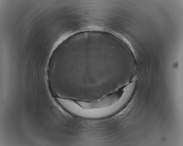 X0000097751373200803281559