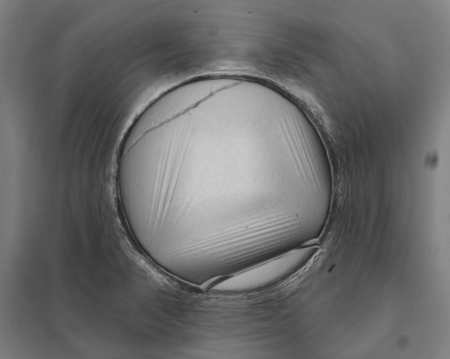 X0000097751374200803281559