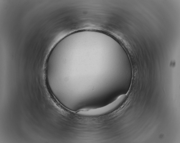 X0000097751375200803281559