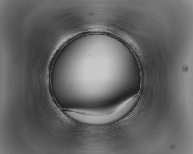 X0000097751376200803281559