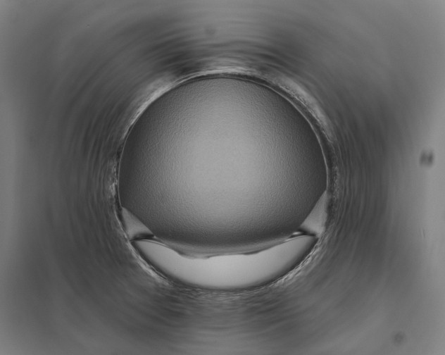 X0000097751377200803281559