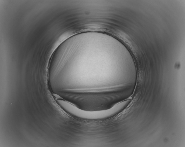 X0000097751378200803281559