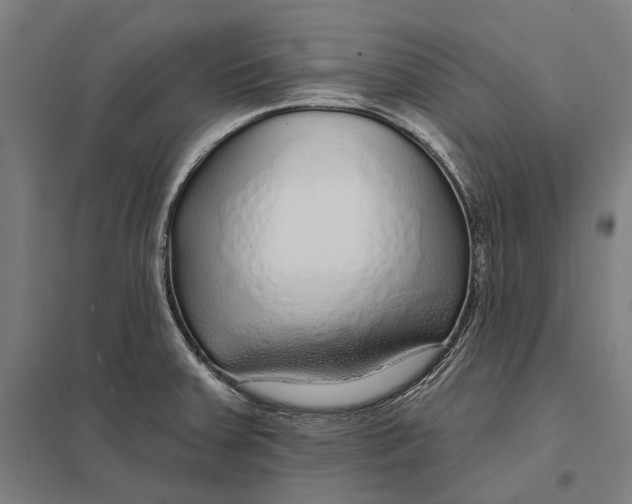 X0000097751379200803281559