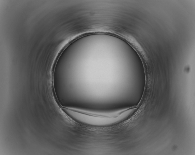 X0000097751380200803281559