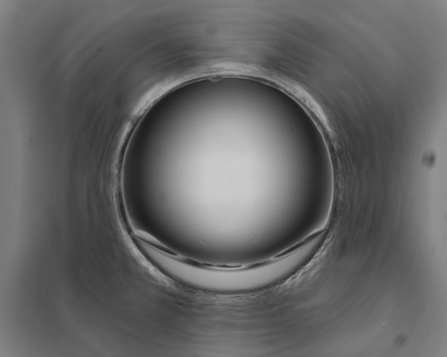 X0000097751381200803281559