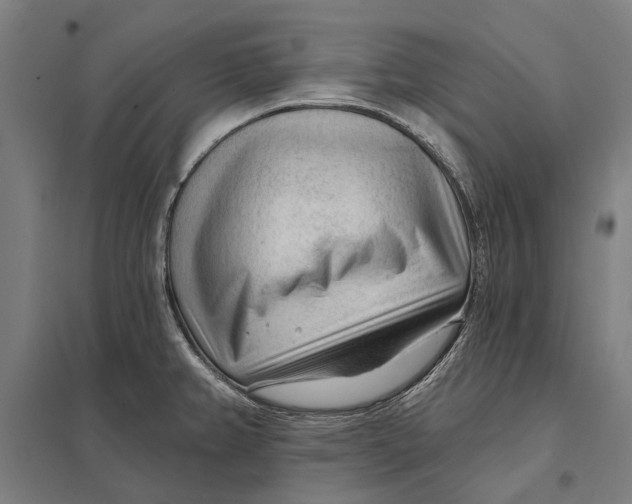 X0000097751382200803281559