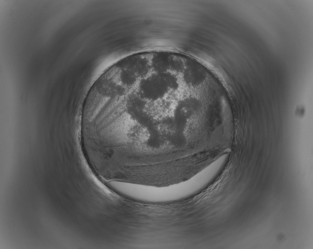 X0000097751383200803281559