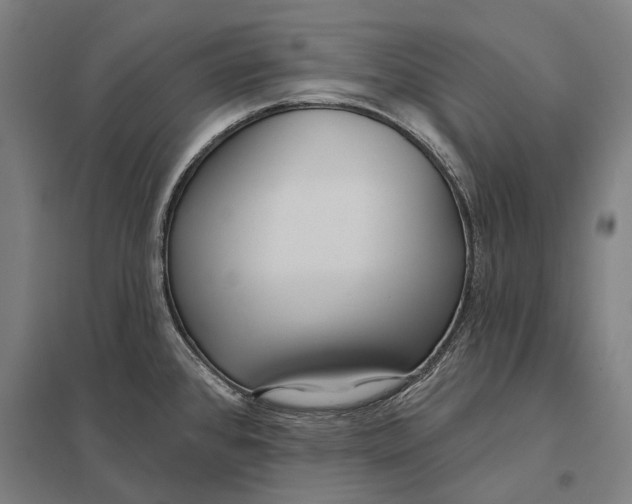 X0000097751384200803281559