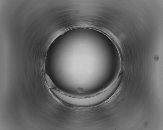 X0000097751385200803281559