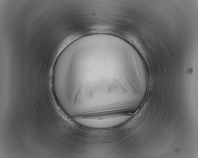 X0000097751386200803281559